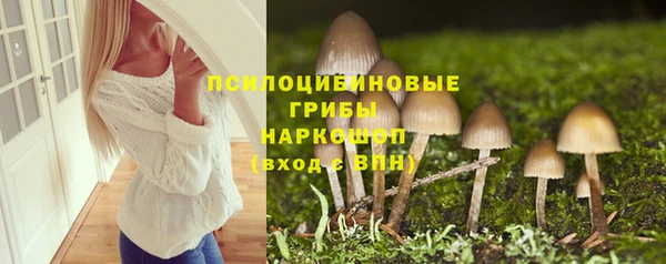 гашик Балабаново