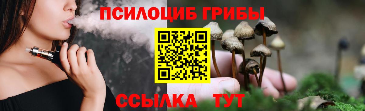 Галлюциногенные грибы прущие грибы  Псилоцибиновые грибы мицелий  Бор  Вход с VPN 